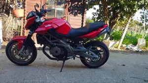 Aprilia Shiver (2008 - 10)  (15)
