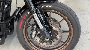 Harley-Davidson Low Rider ST (2022 - 24)  (4)