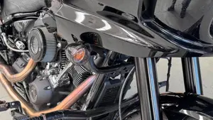 Harley-Davidson Low Rider ST (2022 - 24)  (5)