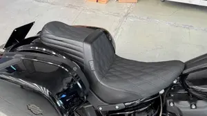 Harley-Davidson Low Rider ST (2022 - 24)  (8)