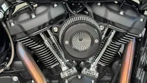 Harley-Davidson Low Rider ST (2022 - 24)  (11)