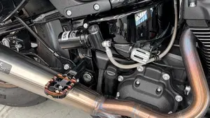 Harley-Davidson Low Rider ST (2022 - 24)  (12)