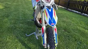 Betamotor RR 300 2T Enduro Racing (2019)  (7)