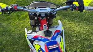 Betamotor RR 300 2T Enduro Racing (2019)  (9)