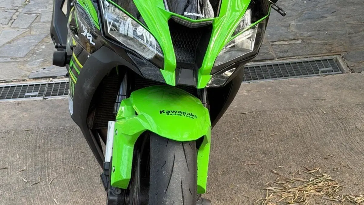 Kawasaki Ninja 1000 ZX-10R KRT Replica (2019 - 20) 