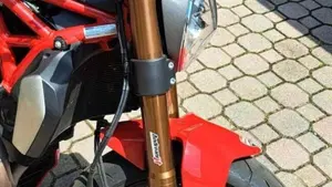 Ducati Monster 1200 (2017 - 21)  (9)