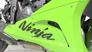 Kawasaki Ninja 125 (2025 - 26)  (5)