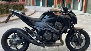 Kawasaki Z 800 e ABS (2012 - 16)  (2)