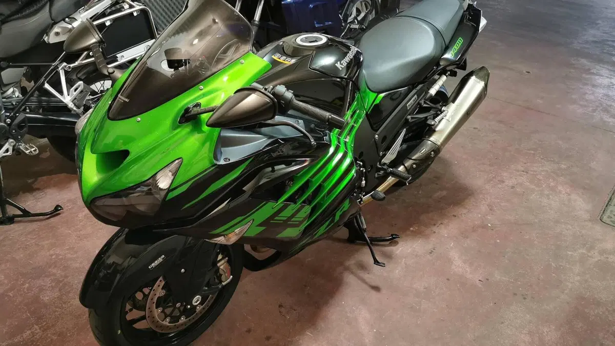 Kawasaki ZZR 1400 Performance Sport (2019 - 20)  (2)