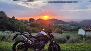 KTM 790 Duke (2018 - 20)  (3)