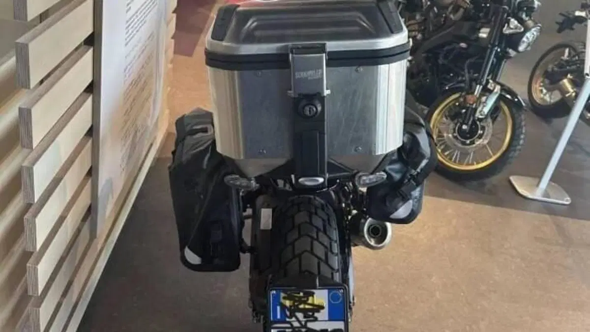 Ducati Scrambler 800 Icon (2023 - 24)  (11)