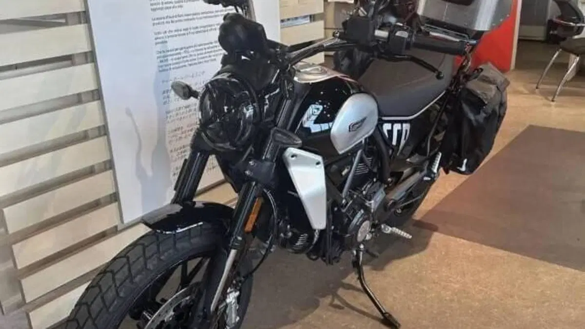 Ducati Scrambler 800 Icon (2023 - 24)  (13)