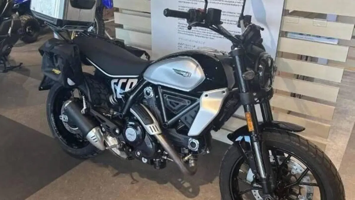 Ducati Scrambler 800 Icon (2023 - 24)  (15)