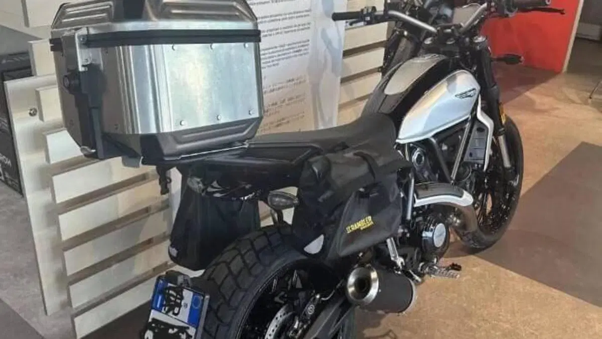 Ducati Scrambler 800 Icon (2023 - 24)  (16)