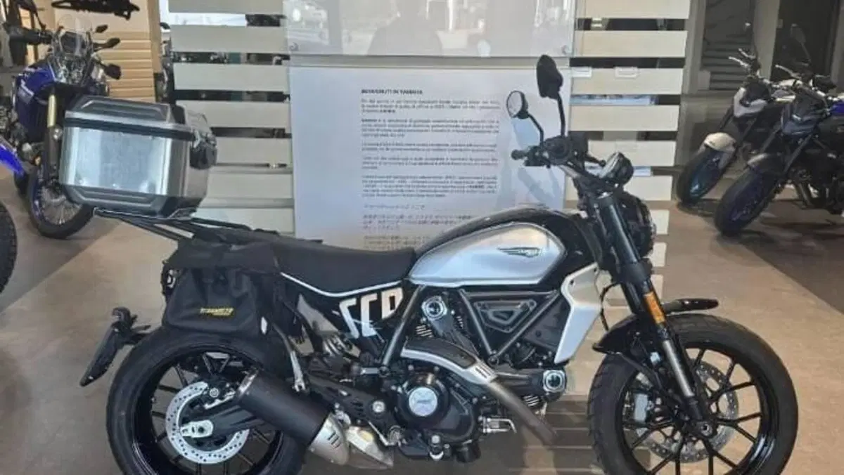 Ducati Scrambler 800 Icon (2023 - 24)  (17)
