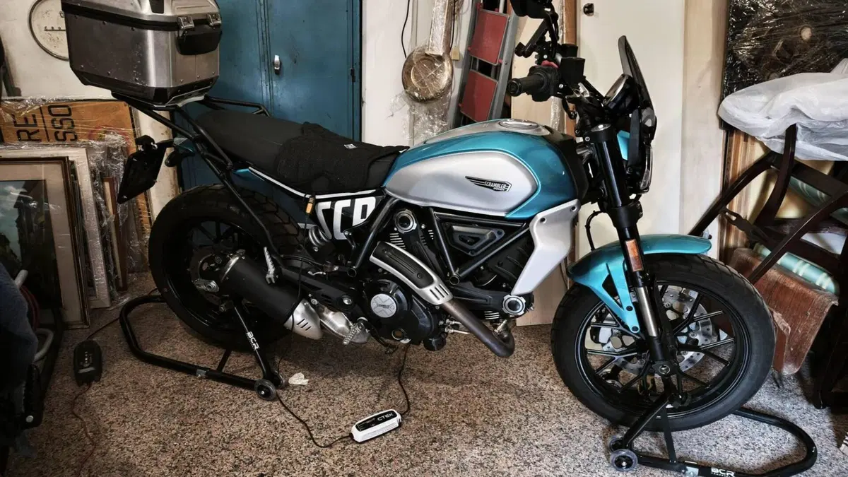 Ducati Scrambler 800 Icon (2023 - 24)  (2)