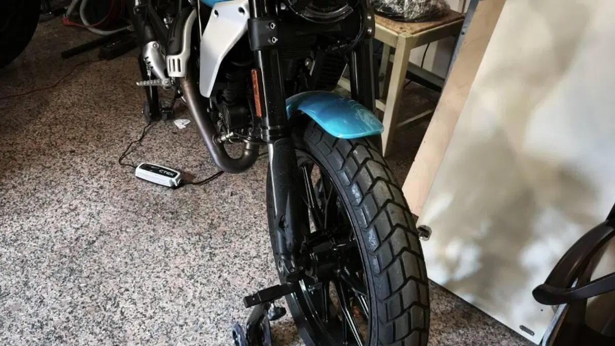 Ducati Scrambler 800 Icon (2023 - 24)  (5)