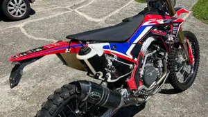 Honda CRF 450RX Rally (2024 - 25)  (3)