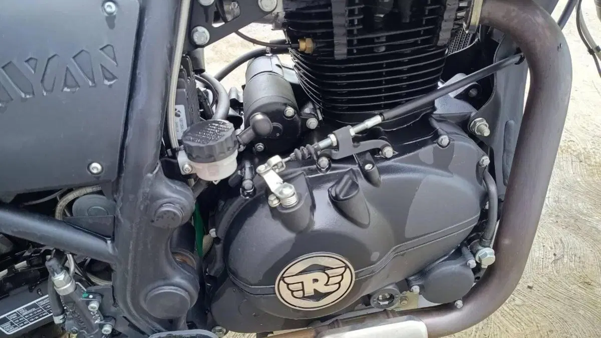 Royal Enfield Himalayan 411 (2017 - 20)  (10)