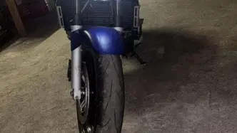 Honda Hornet 600 (2003 - 04) usata