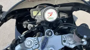 Triumph   (7)