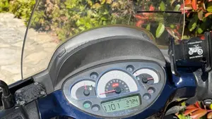 Aprilia Scarabeo 200 i.e. (2009 - 11)  (5)