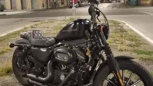Harley-Davidson 883 Iron (2009 - 11) - XL 883N 