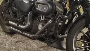 Harley-Davidson 883 Iron (2009 - 11) - XL 883N  (2)
