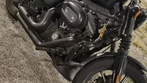 Harley-Davidson 883 Iron (2009 - 11) - XL 883N  (3)