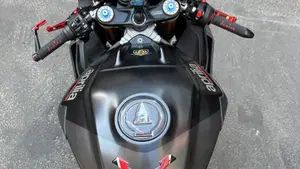 Aprilia RSV4 1100 Factory (2019 - 20)  (6)