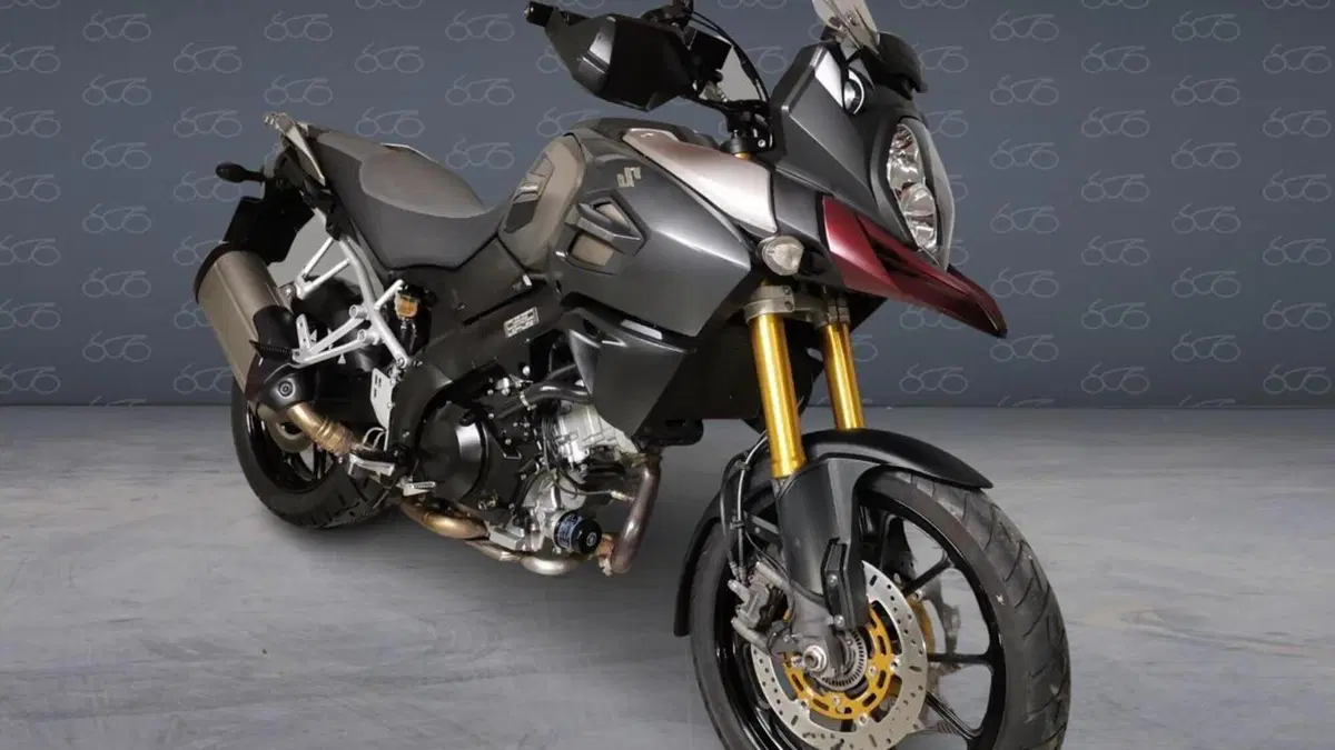 Suzuki V-Strom 1000 (2006 - 16)  (2)
