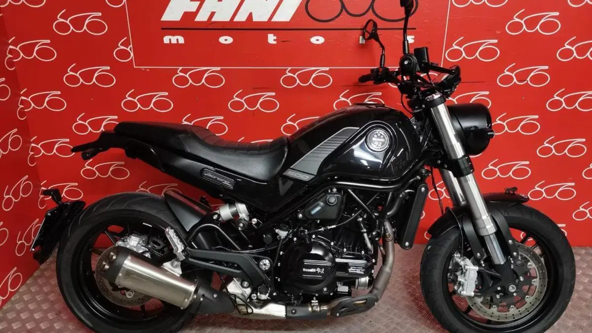 Benelli Leoncino 500 (2021 - 25) 