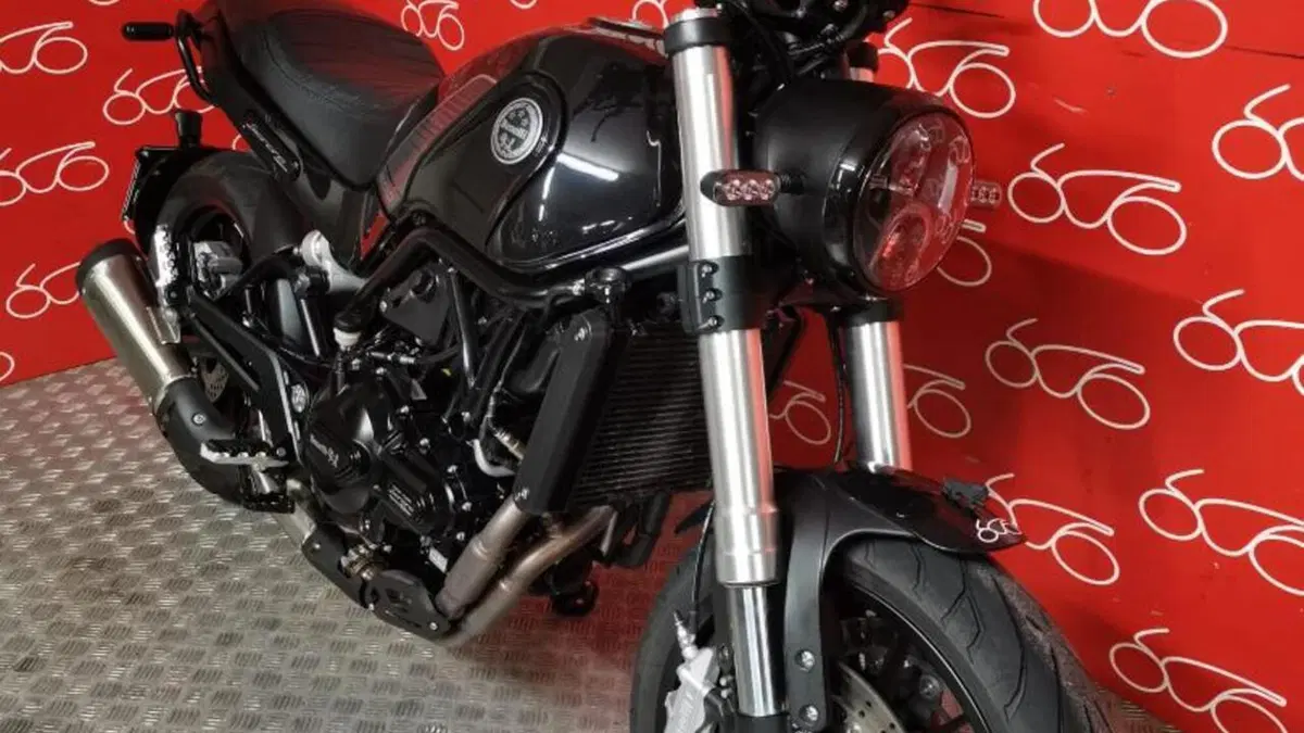 Benelli Leoncino 500 (2021 - 25)  (2)