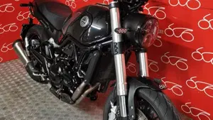Benelli Leoncino 500 (2021 - 25)  (2)