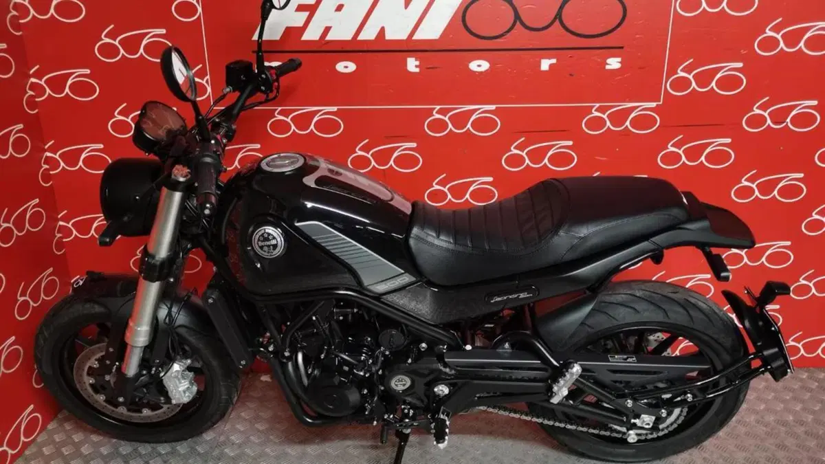 Benelli Leoncino 500 (2021 - 25)  (3)