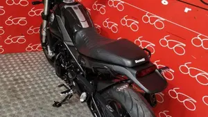 Benelli Leoncino 500 (2021 - 25)  (4)
