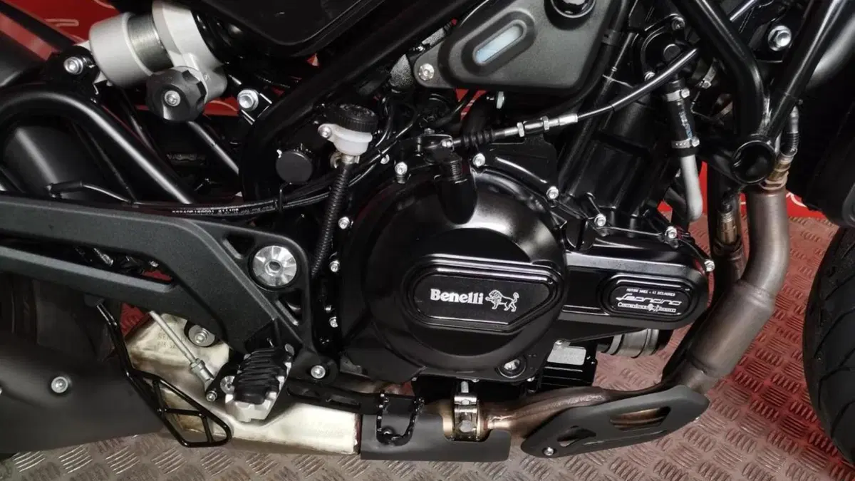 Benelli Leoncino 500 (2021 - 25)  (6)