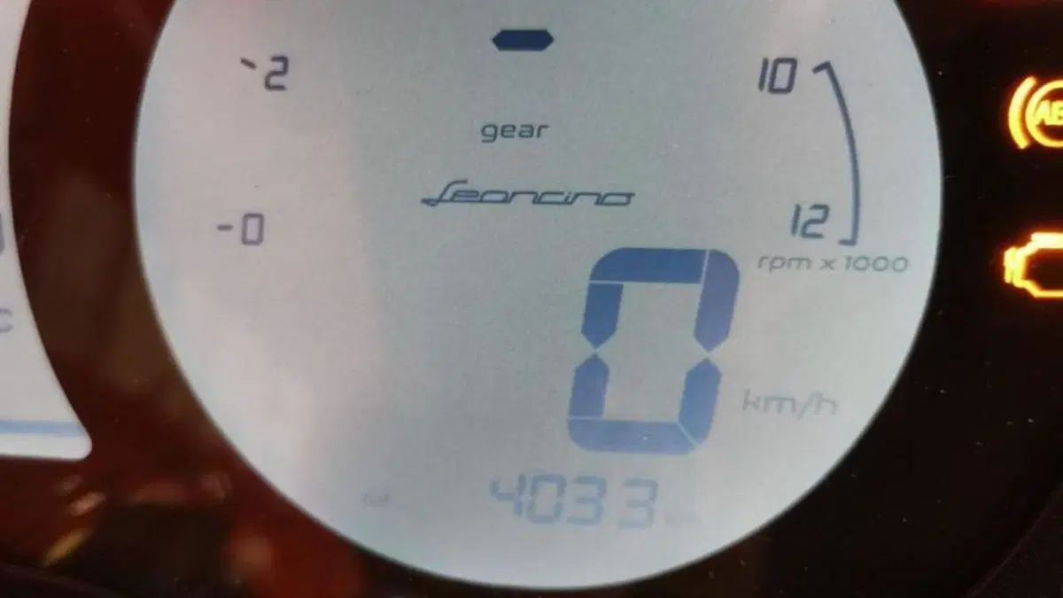 Benelli Leoncino 500 (2021 - 25)  (8)