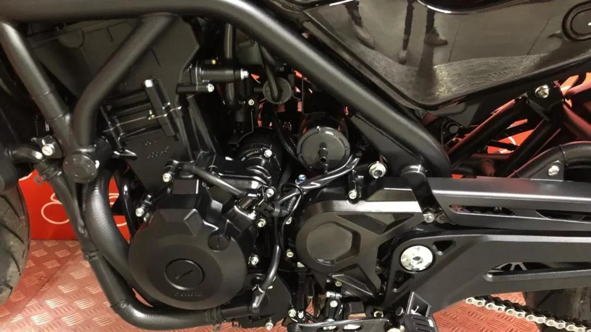 Benelli Leoncino 500 (2021 - 25)  (5)