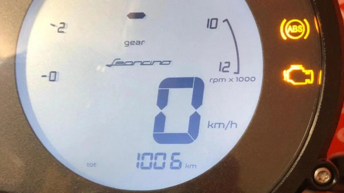 Benelli Leoncino 500 (2021 - 25)  (8)