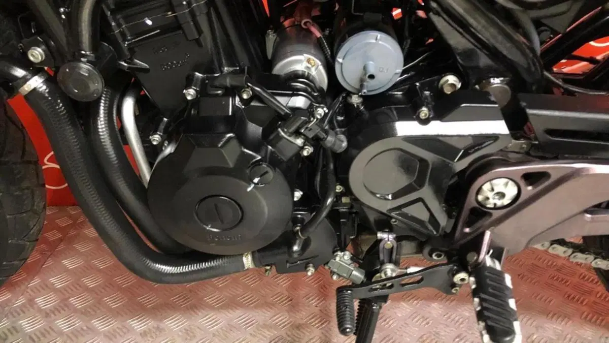 Benelli Leoncino 500 Trail (2021 - 26)  (5)