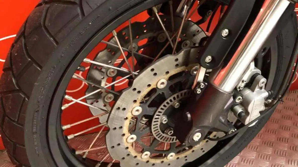 Benelli Leoncino 500 Trail (2021 - 26)  (6)