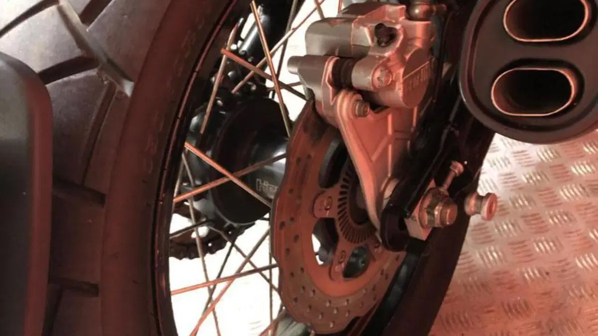 Benelli Leoncino 500 Trail (2021 - 26)  (7)