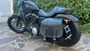 Harley-Davidson 883 Iron (2009 - 11) - XL 883N  (2)