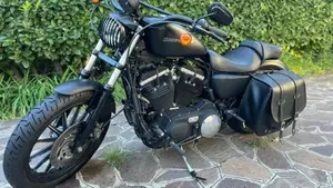 Harley-Davidson 883 Iron (2009 - 11) - XL 883N  (4)