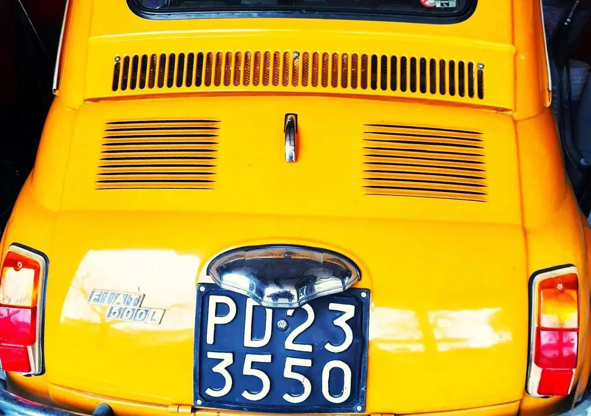 Fiat 500 L  (4)