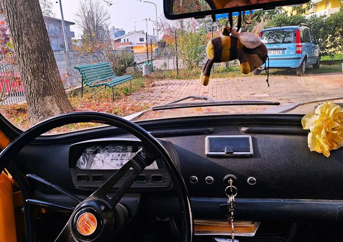 Fiat 500 L  (7)
