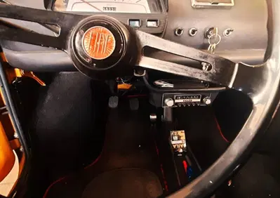 Fiat 500 L  (14)