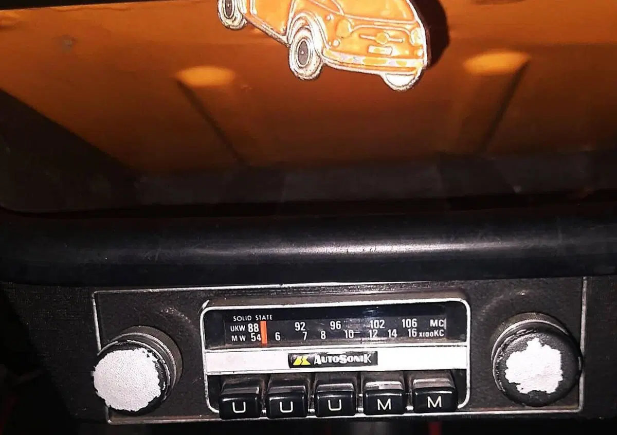 Fiat 500 L  (16)