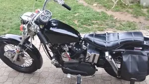 Harley-Davidson   (2)